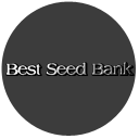 Best Seed Bank
