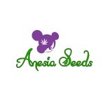 Anesia Cannabis  Seeds