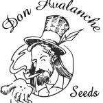 Don Avalanche Cannabis  Seeds  Logo