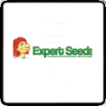 Expert Cannabis Seeds Breeder