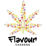 Flavour  Chasers  Logo