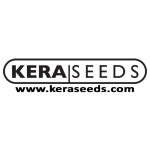 Kera Cannabis  Seeds 0