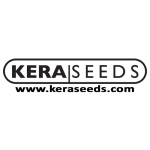 Kera Cannabis Seeds 0