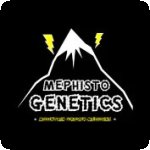 Mephisto  Genetics
