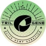 Trilogene  Cannabis  Seeds