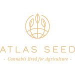 Atlas Cannabis Seeds
