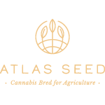 Atlas  Cannabis  Seeds