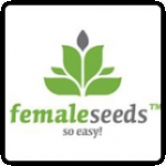 Female Cannabis Seeds Breeder
