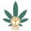 Freedom Of Cannabis  Seeds