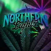 Barneys Farm Cannabis Seeds Northern Lights