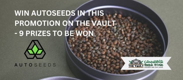 27 Auto Seeds to be won in The Vault Giveaway