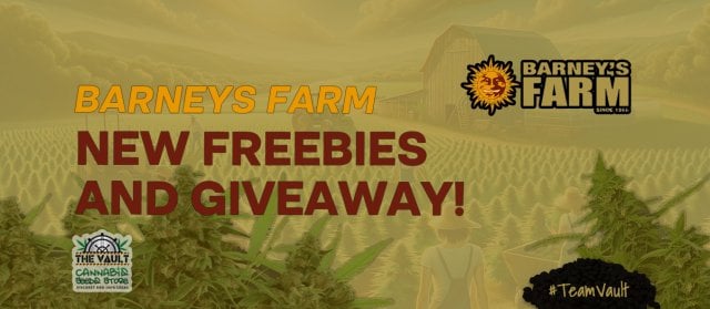 Barneys Farm! New Freebies and Giveaway!