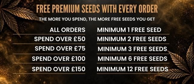 Free 20 Cannabis  Seeds 20 Slots 20  20 Offer 20 Banner 20 Template 20 281 29