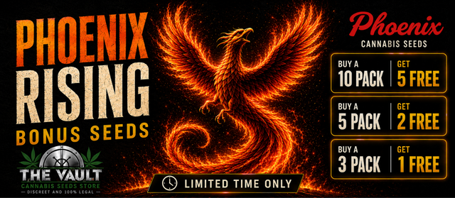 Phoenix Cannabis Seeds Extra Bonus Cannabis Seeds Per Multipack Offers