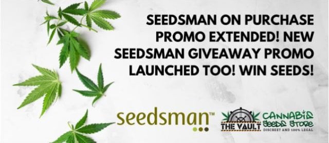Cannabis  Seedsman  On  Purchase  Promo  Extended  New  Cannabis  Seedsman  Giveaway  Promo  As  Well  Launched 1