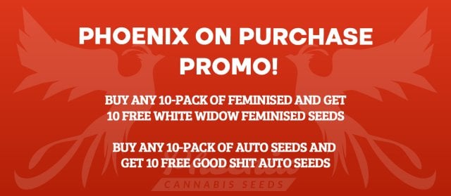 Phoenix Cannabis Seeds 10+10 Super Promo!