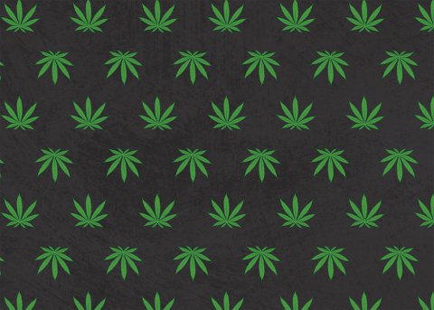 10  Sheets  Black  Leaf  Wrapping  Paper 10  Sheets