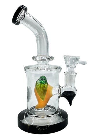 Glass  Mango  Percolator  Bong 1