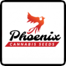 Phoenix  Cannabis  Seeds