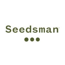 Cannabis  Seedsman  Slogo  Quare 20 281 29