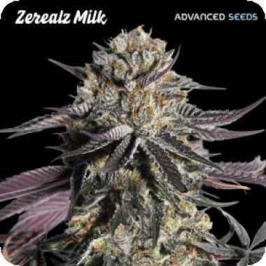 Zerealz Milk