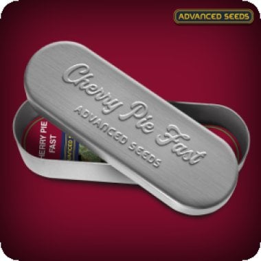 Advanced  Cannabis  Seeds  Cherry  Pie  Fast  Version