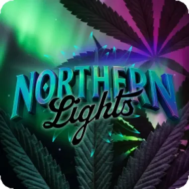 Barneys Farm Cannabis Seeds Northern Lights