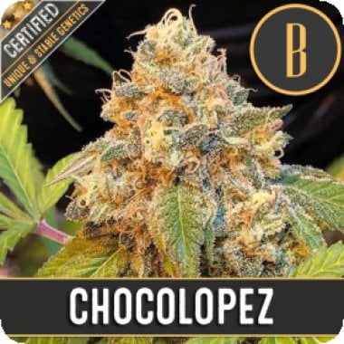 Chocolopez