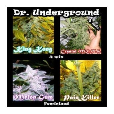 Dr Underground Cannabis Seeds Surprise Killer Mix