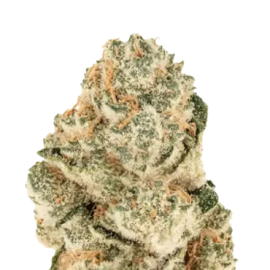Fast Buds Cannabis Seeds Gorilla Melon