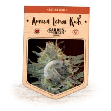 Garden Of Green Cannabis Seeds Amnesia Lemon Kush