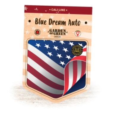 Garden Of Green Cannabis Seeds Blue Dream Auto
