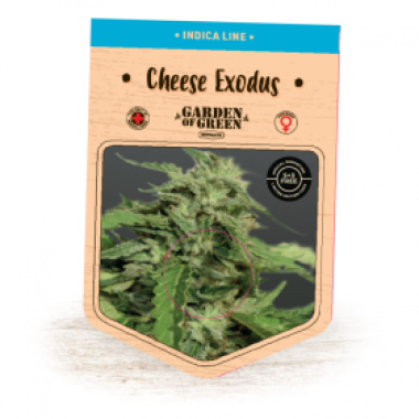 Garden Of Green Cannabis Seeds Exodus Cheese