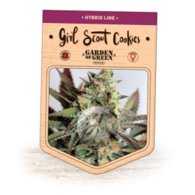Garden  Of  Green  Cannabis  Seeds  Girl  Scout  Cookies