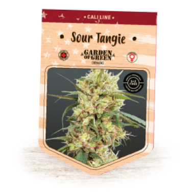 Garden Of Green Cannabis Seeds Sour Tangie