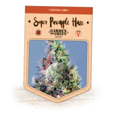 Garden Of Green Cannabis Seeds Super Pineapple Haze