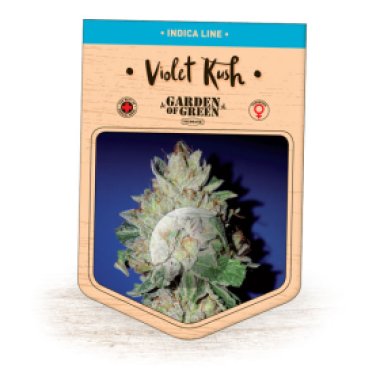 Garden Of Green Cannabis Seeds Violet Kush