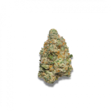 Growers Choice Cannabis Seeds Apple Fritter Auto