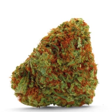 Growers Choice Cannabis Seeds Bubblegum X Fat Hog