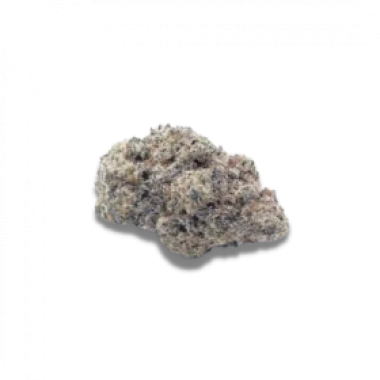Growers Choice Cannabis Seeds Cherry Zoap Auto