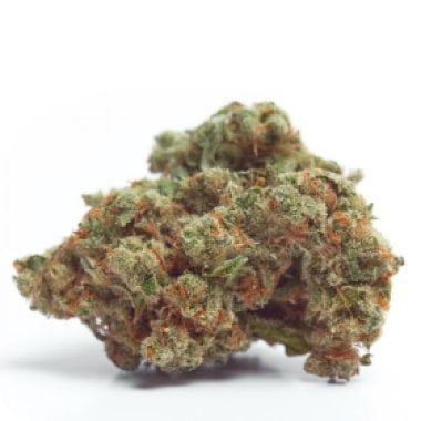 Growers Choice Cannabis Seeds Gorilla Cookies