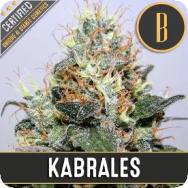 Kabrales