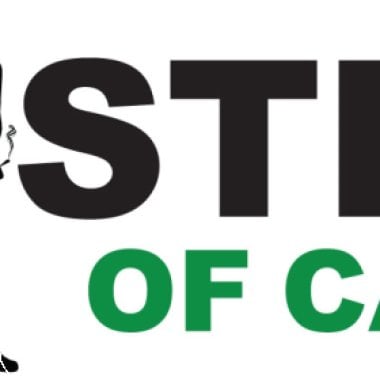 Ministry Of Cannabis Seeds Cannabis Light