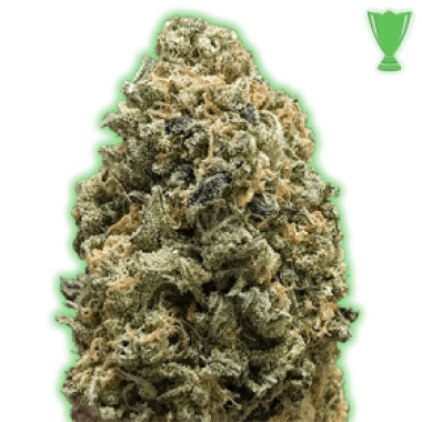 Monster Genetics Cannabis Seeds Monster Bruce Banner