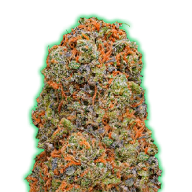 Monster Genetics Cannabis Seeds Monster Gelato