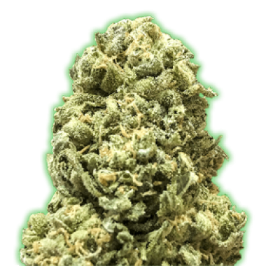 Monster Genetics Cannabis Seeds Monster Girl Scout Cookies