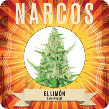Narcos  Cannabis  Seeds  El  Limon