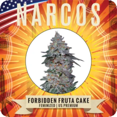 Narcos  Cannabis  Seeds  Forbidden  Fruta  Cake