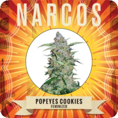 Narcos  Cannabis  Seeds  Popeyes  Cookies