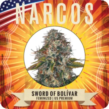 Narcos  Cannabis  Seeds  Sword  Of  Bolivar